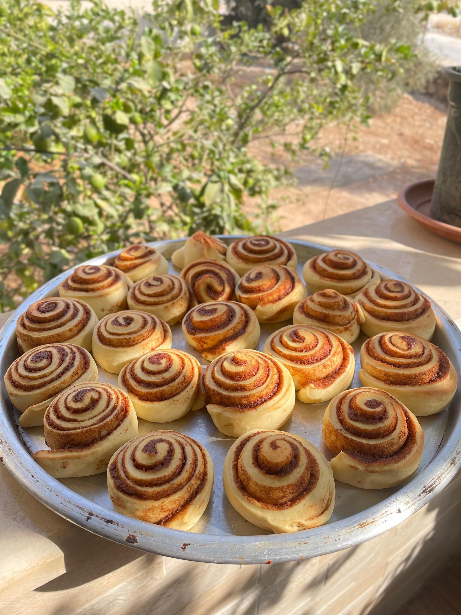 السينابون (لفائف القرفة) السينابون (لفائف القرفة)